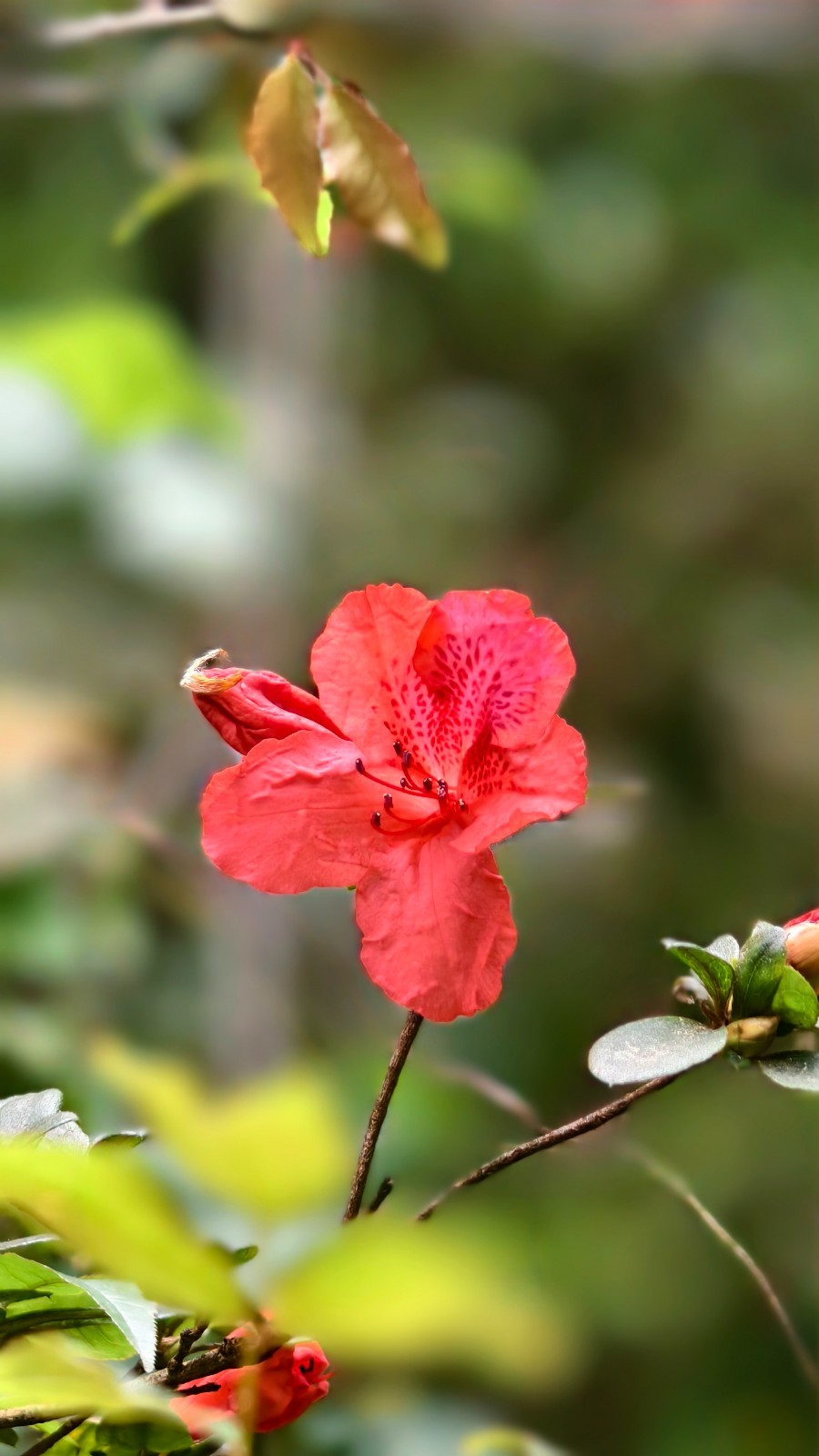 IMG_20260419_114046