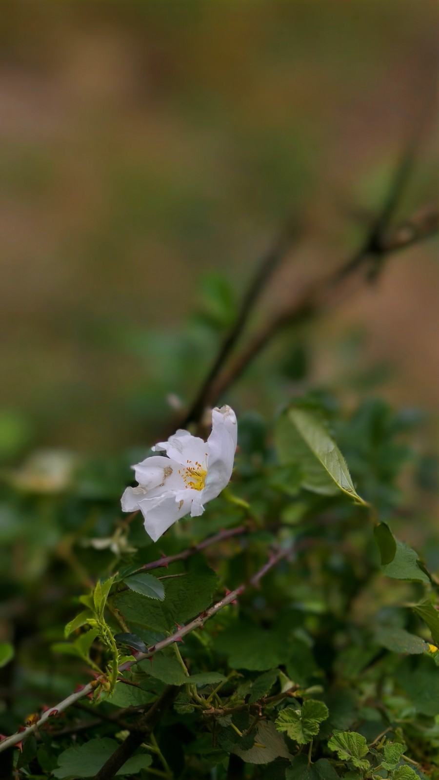 IMG_20260419_113806