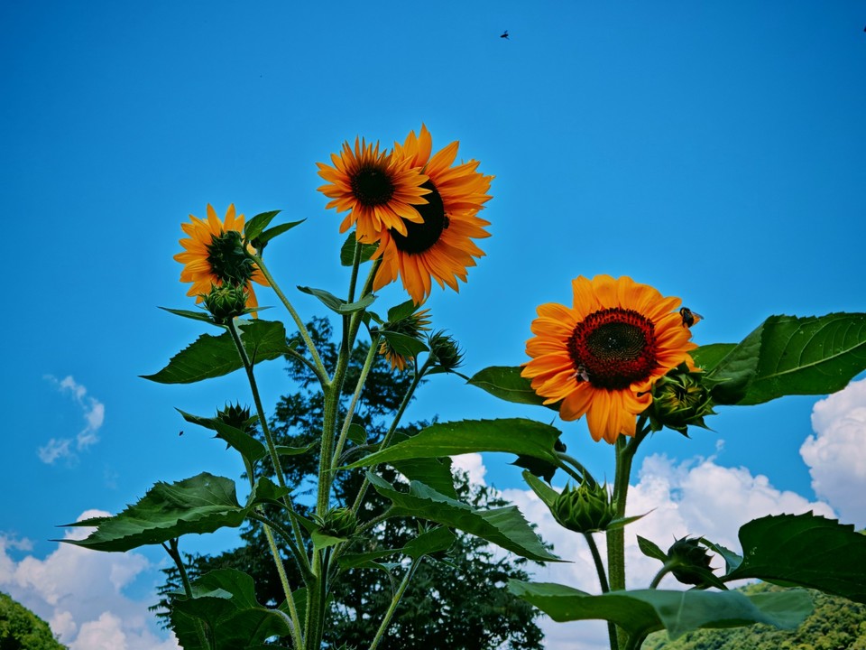 IMG_20250727_113504