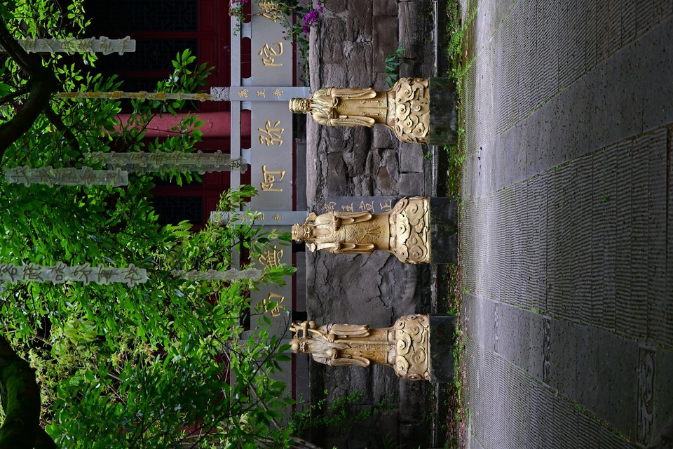 DSC_0491