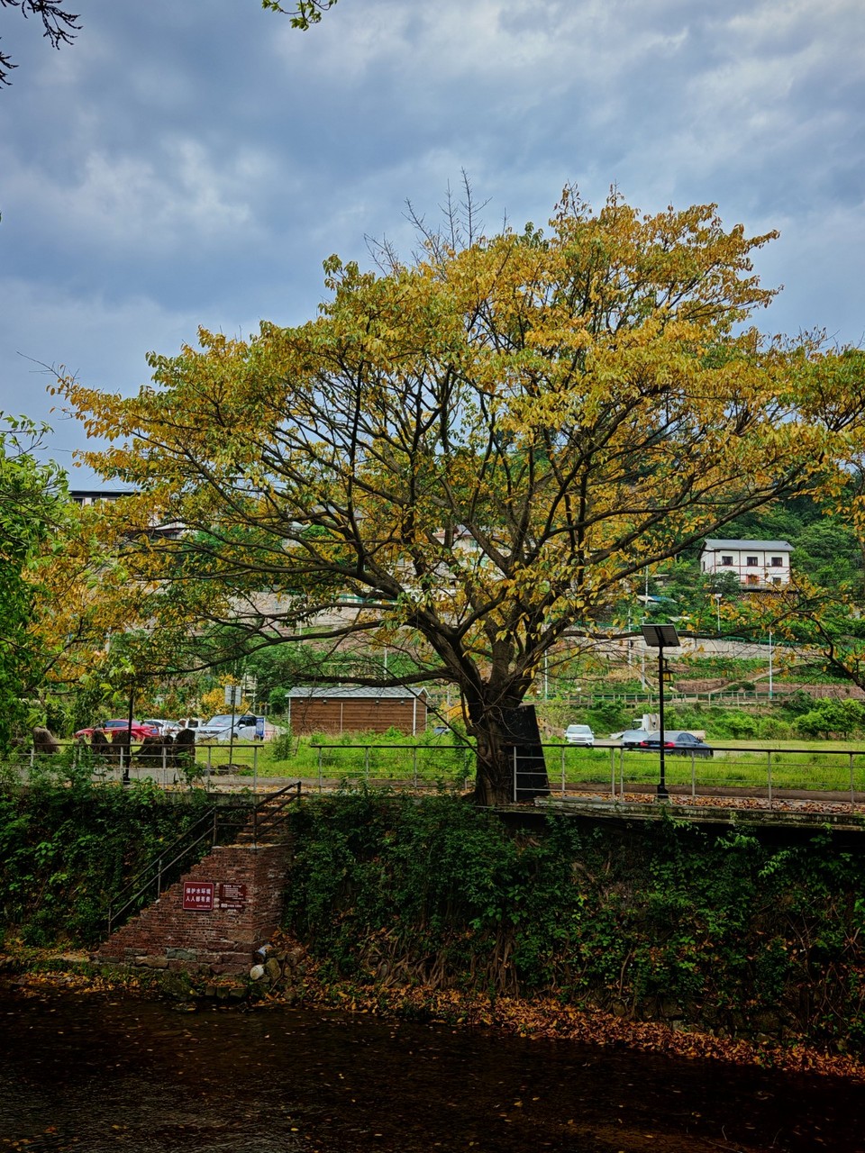 IMG_20260426_111613