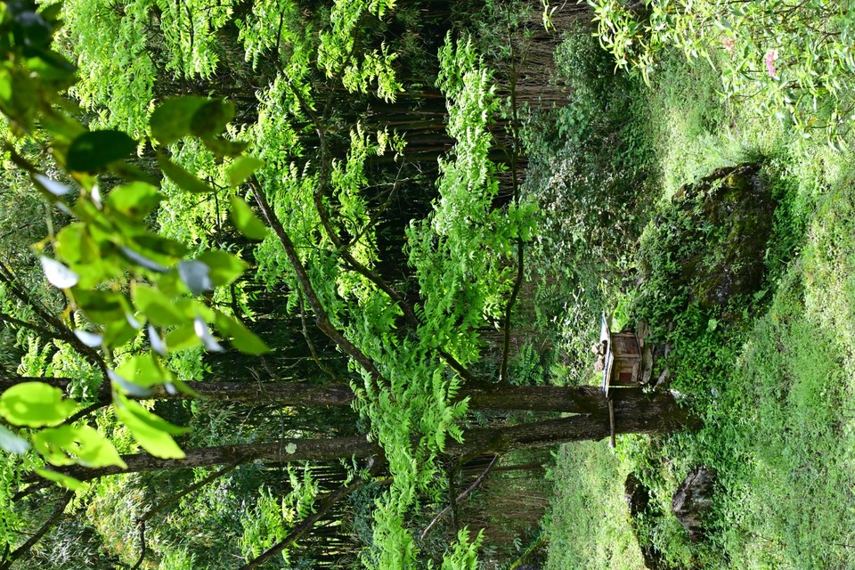 DSC_1714
