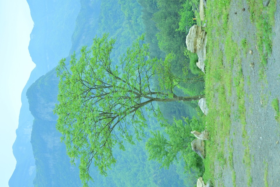 DSC_1938