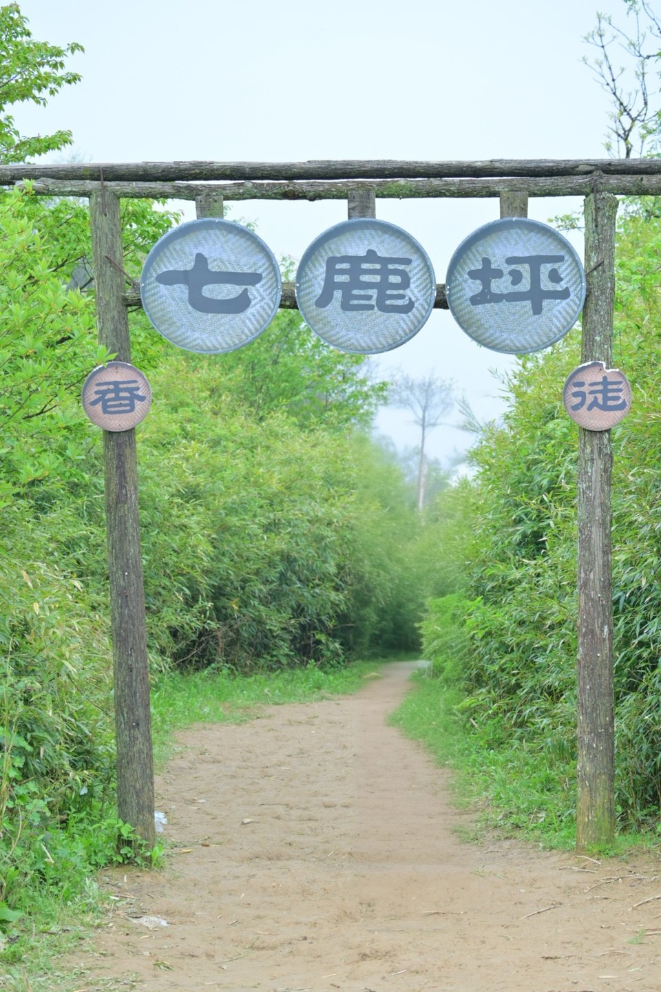 DSC_1147_edit_2742606168691