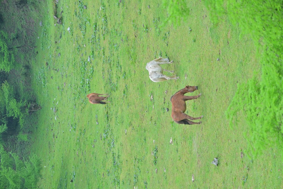 DSC_1257