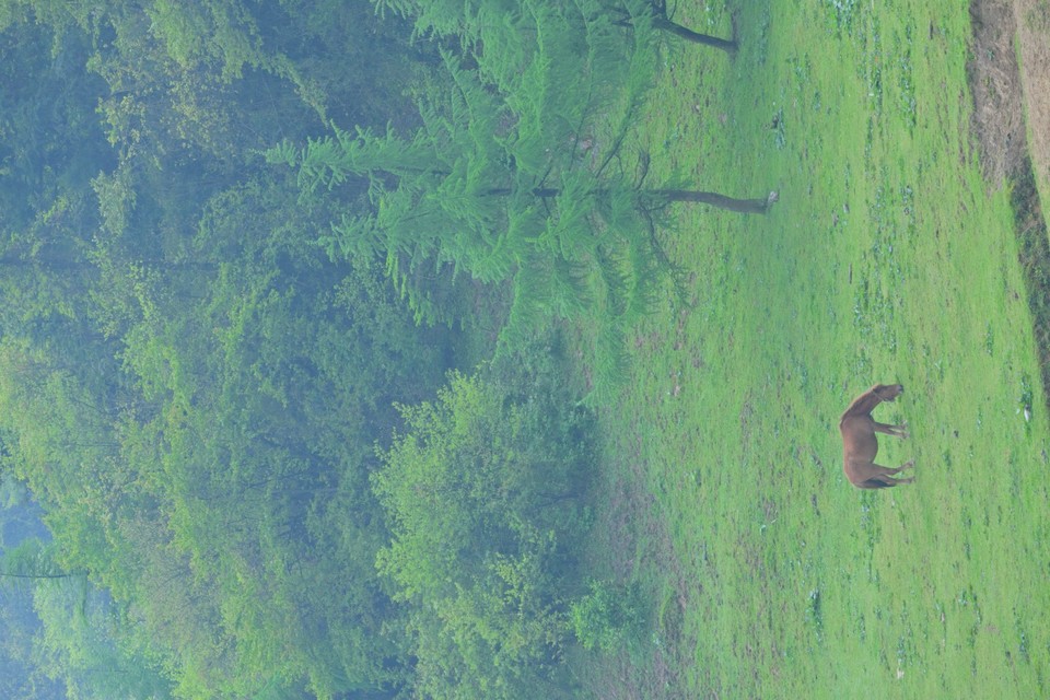 DSC_1251