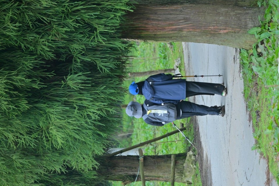 DSC_1439