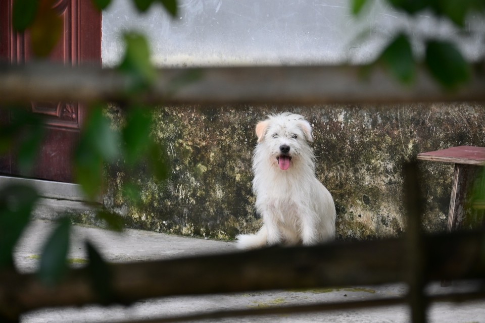 DSC_2799