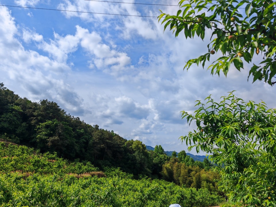 9C11700E-F104-4205-AE20-6765FC38A096