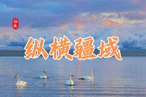 7.24-8.08 | 新疆北疆大环线深度游：穿越雪山草原的极致之旅