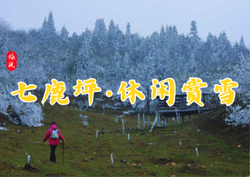 1月24日 | 周六 | 七鹿坪休闲徒步赏雪