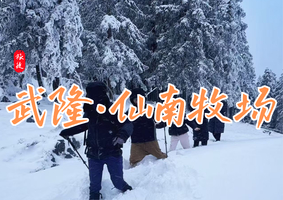 【已成团】1月8日 | 周四 | 仙南牧场 | 林海草甸·森林穿越，重庆经典穿越