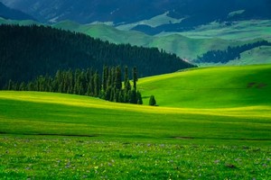 环库尔代徒步7天6晚深入天山秘境之行