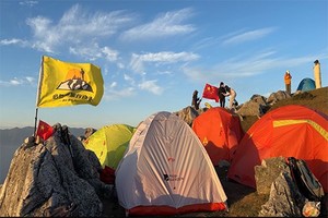 北阳山露营/探秘秦岭墨石公园/邂逅牛羊成群和满天繁星 