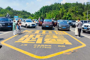 【已成团】贡嘎雪山3.13-23日/自驾318/林芝桃花/南迦巴瓦/羊卓雍措（小众精品自驾）