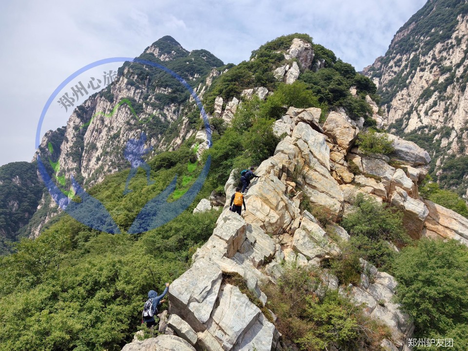 未命名的设计 (2)