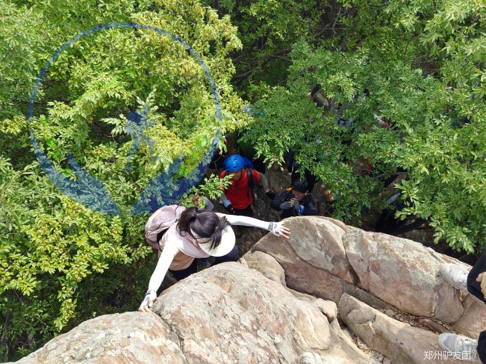 未命名的设计 (3)