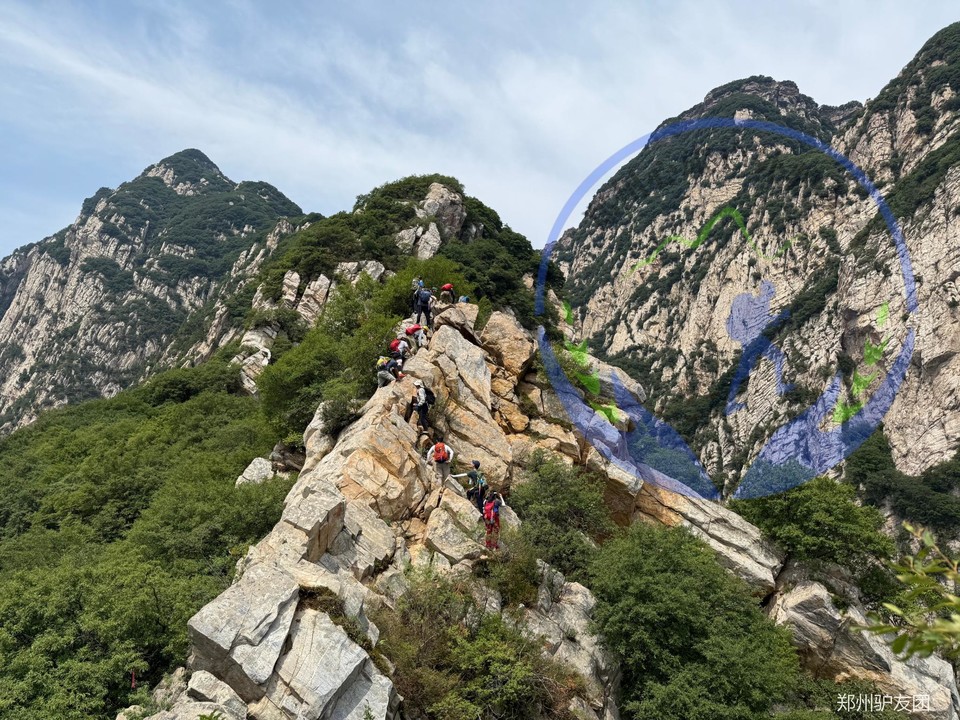 未命名的设计 (4)