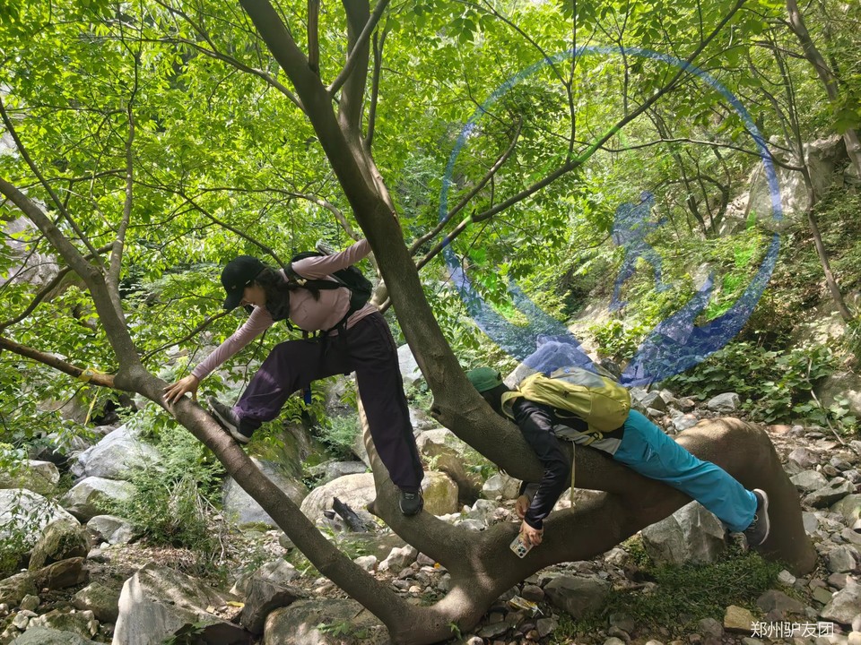 未命名的设计 (5)