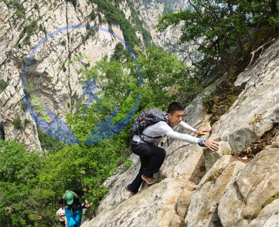 未命名的设计 (7)