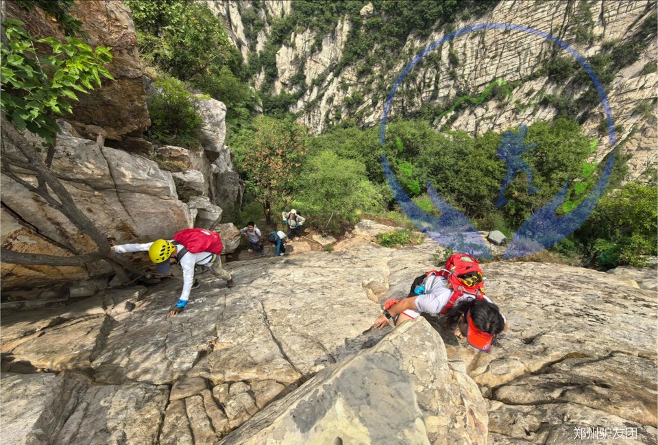 未命名的设计 (9)