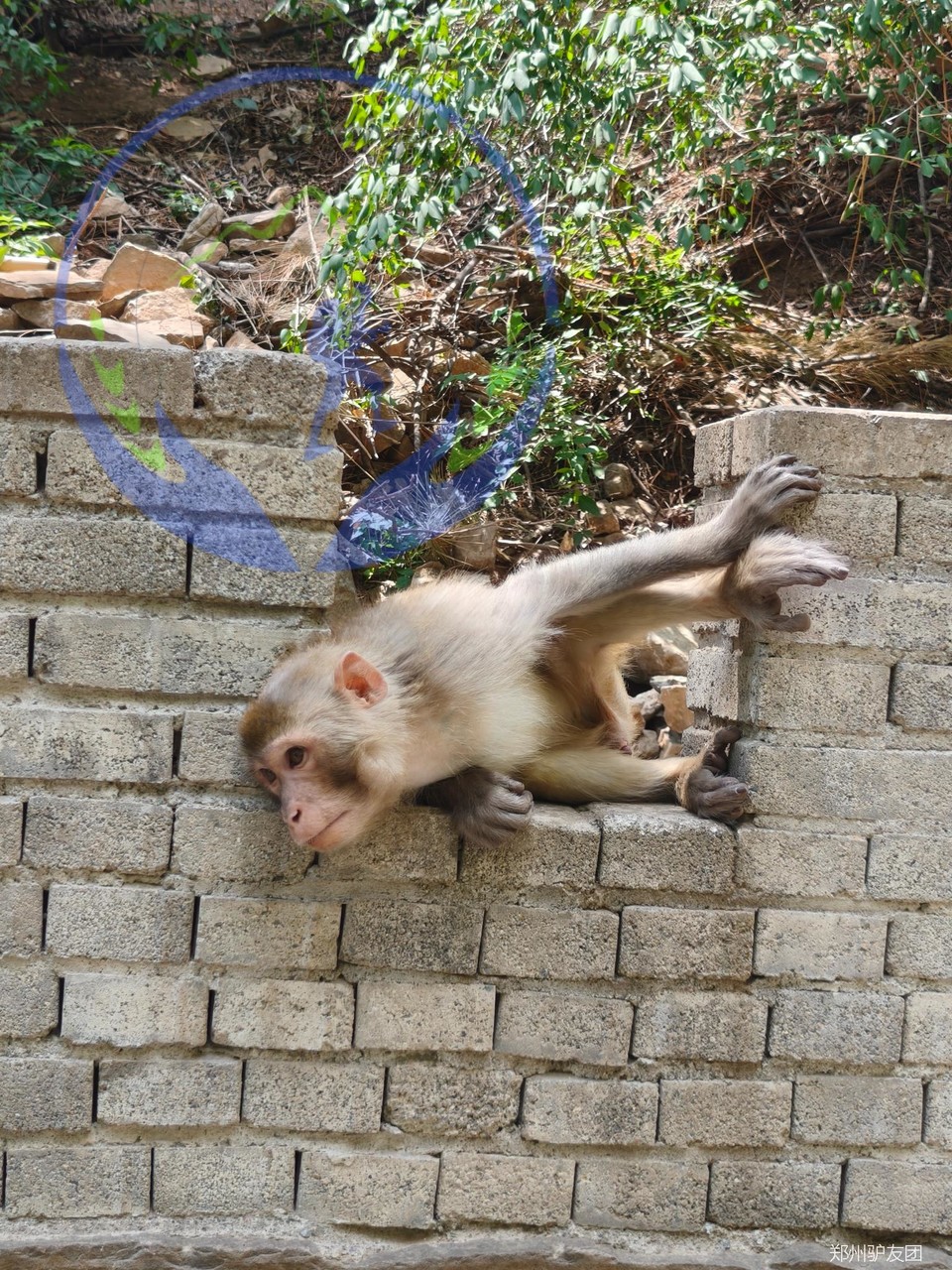 未命名的设计 (2)