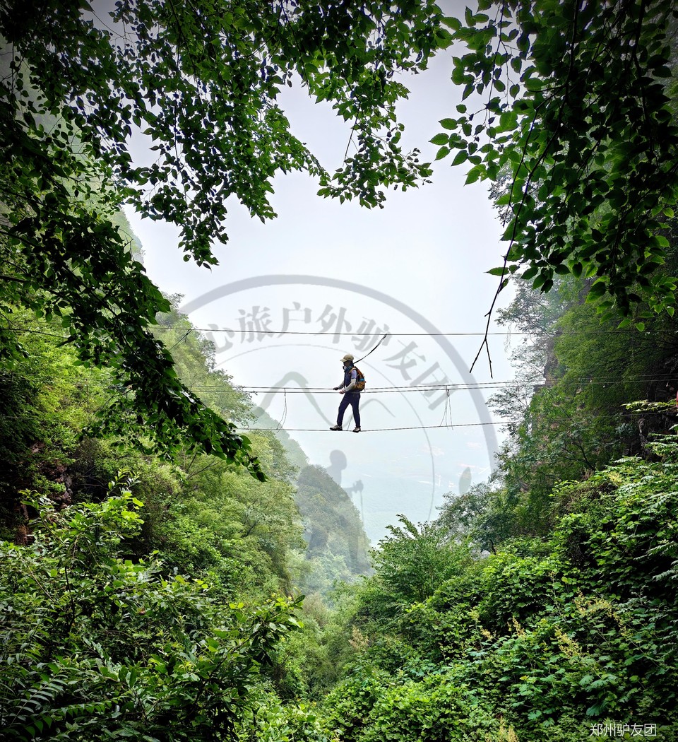 mmexport1752545102964_batch_4_1752629543343