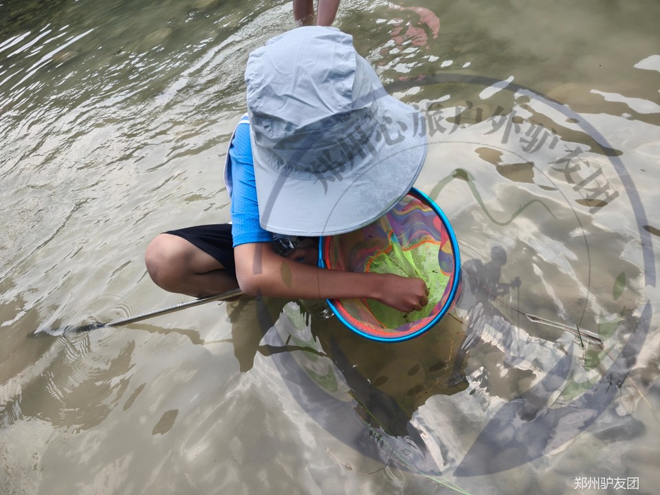 mmexport1752563782996_batch_5_1752629042288