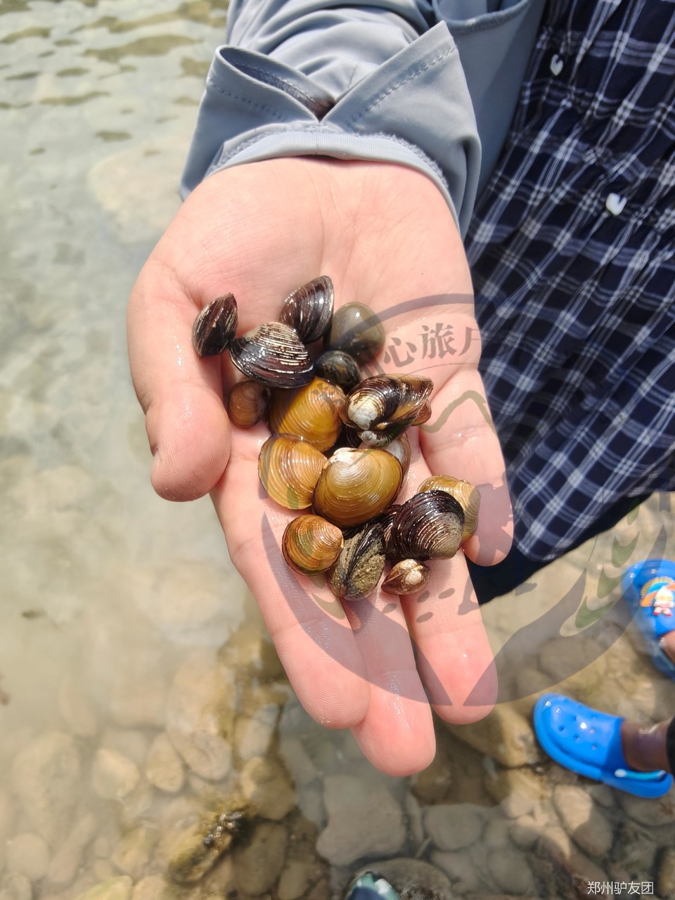 mmexport1752563789712_batch_4_1752629041873