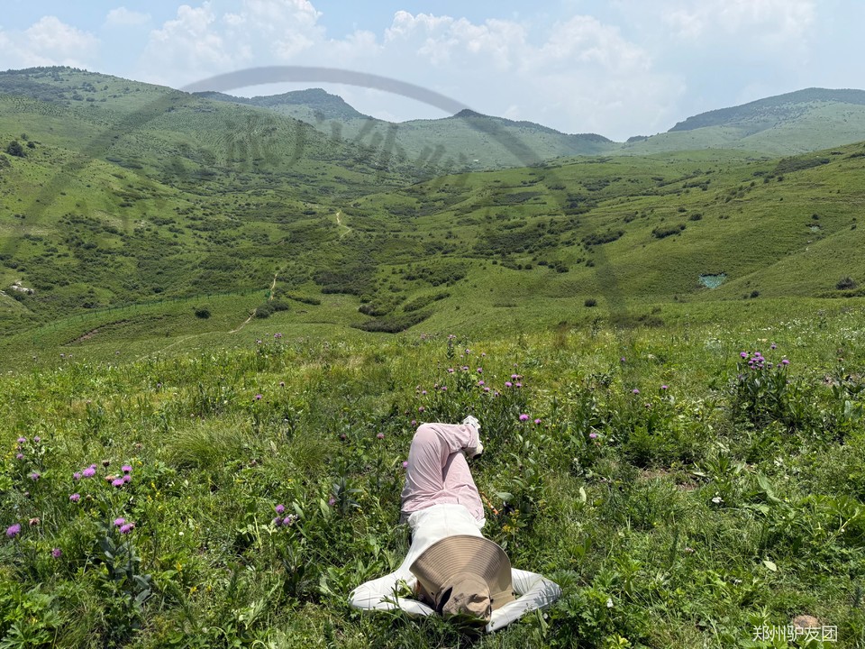 mmexport1752561842899_batch_11_1752629097407