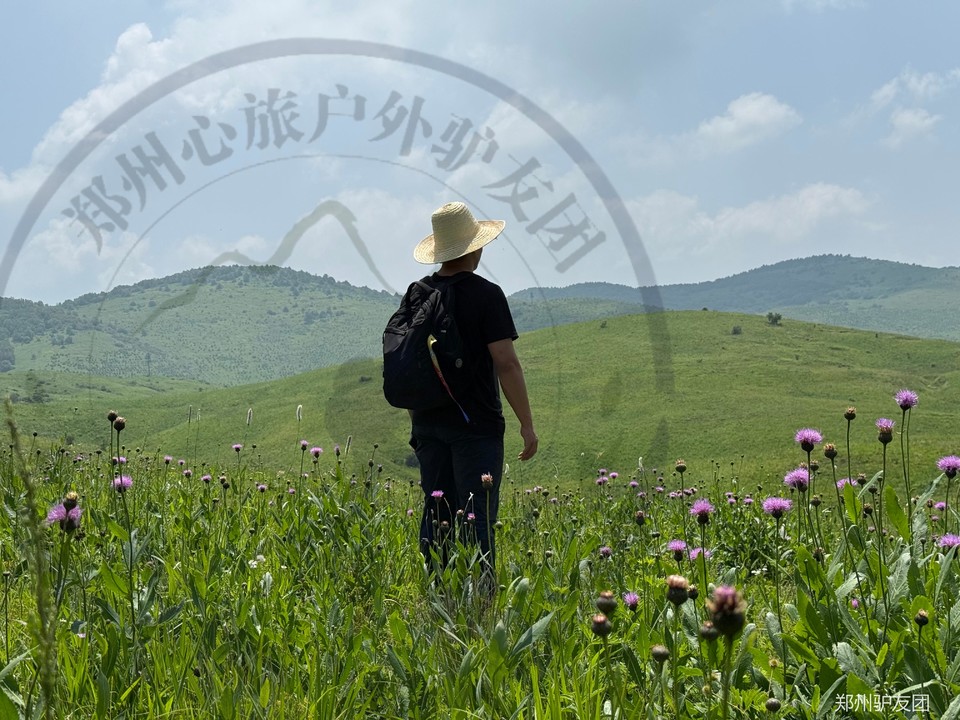 mmexport1752561568408_batch_5_1752629136922