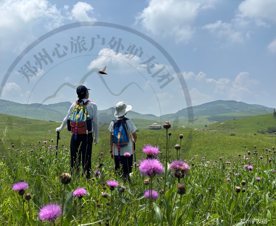 mmexport1752561372683_batch_6_1752629137780