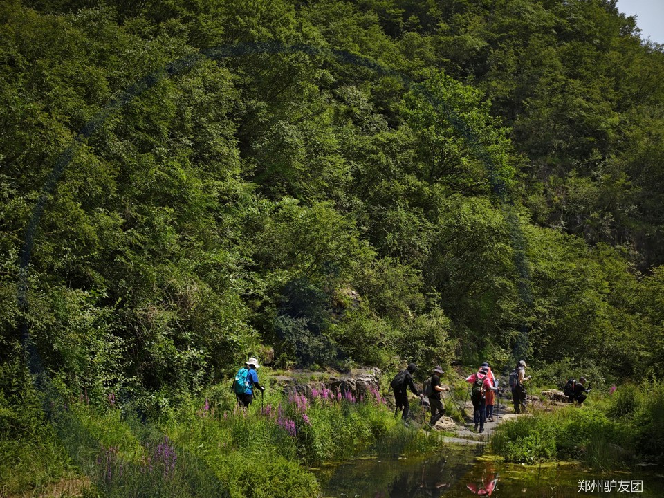 mmexport1752547562134_batch_9_1752629381230