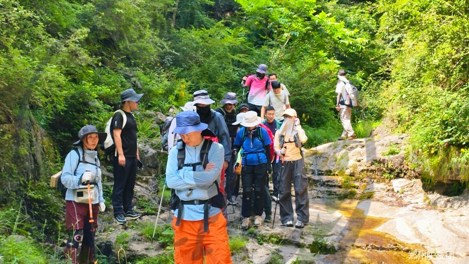 mmexport1752548578383_batch_1_1752629375857