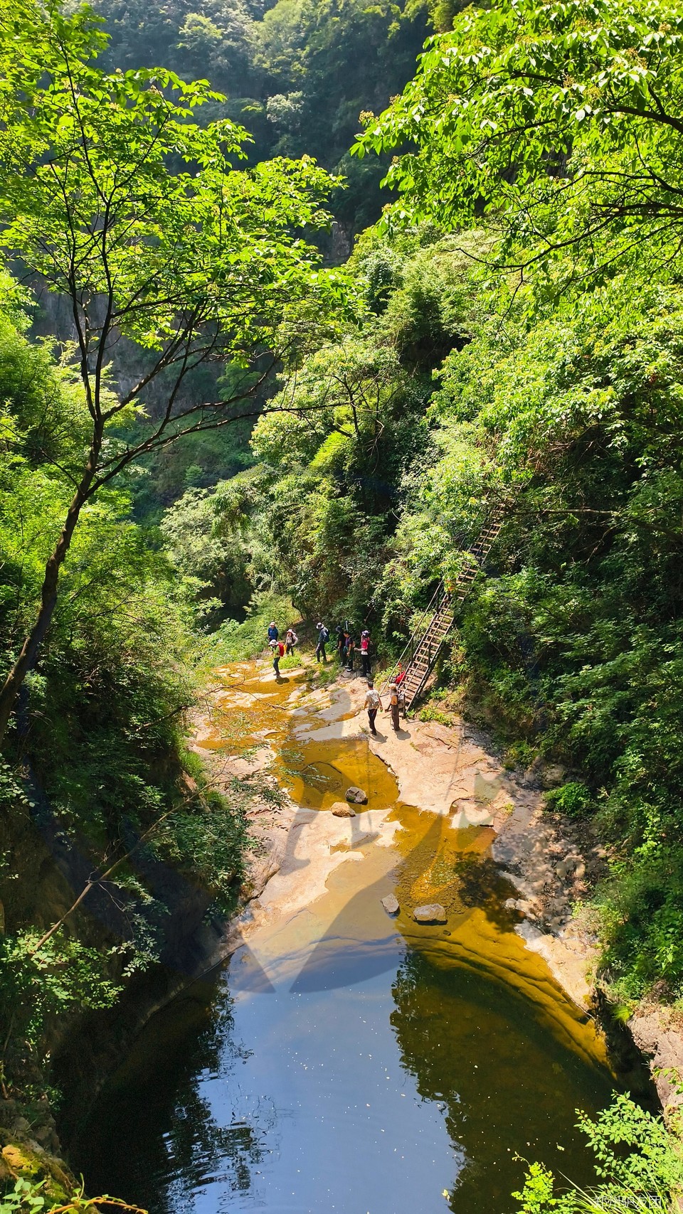 mmexport1752548584816_batch_0_1752629375540