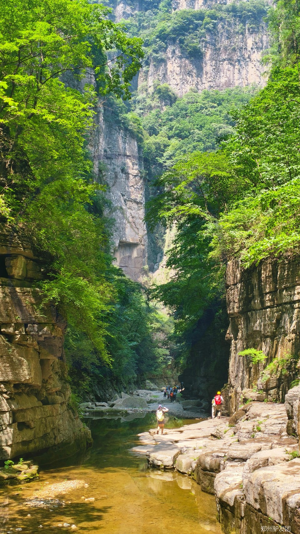 mmexport1752548623444_batch_11_1752629297194