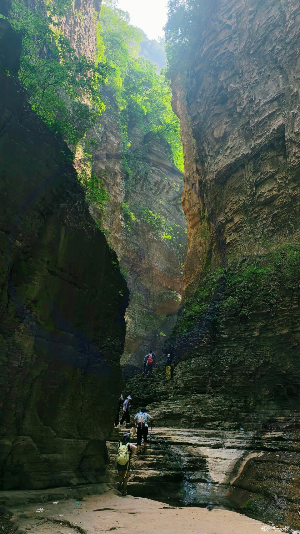 mmexport1752548652396_batch_10_1752629296756