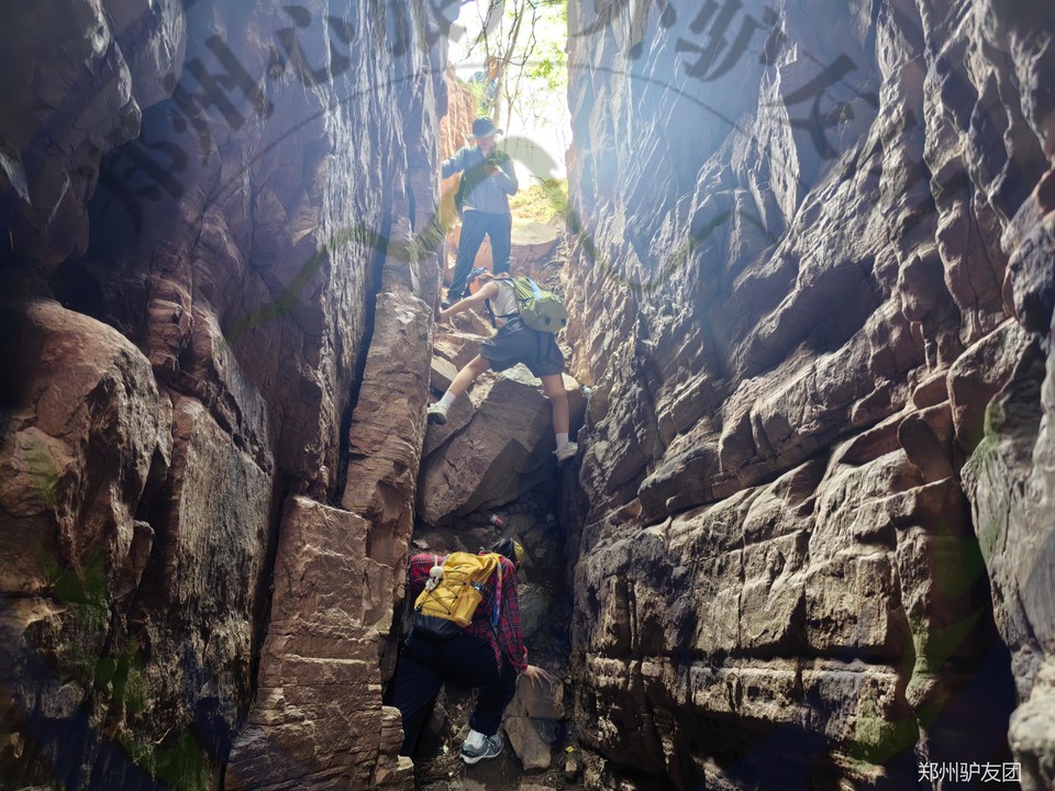 mmexport1751857108420_batch_7_1752629592724