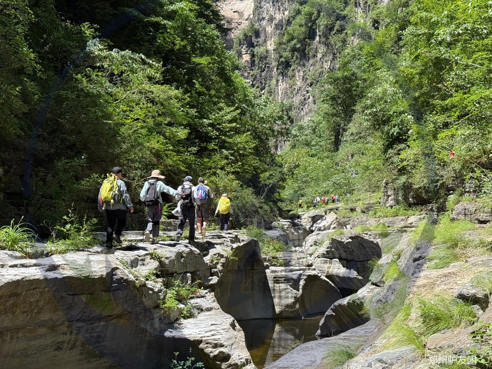 mmexport1751855323537_batch_10_1752629659915