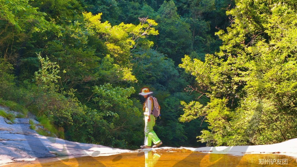 mmexport1751855705568_batch_5_1752629658213