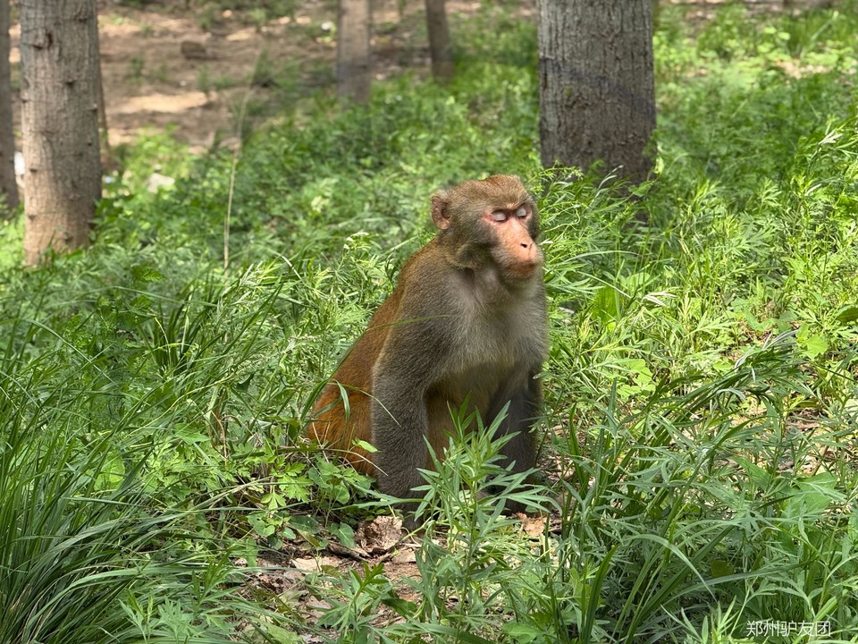 mmexport1753067605168_batch_1_1753157655025