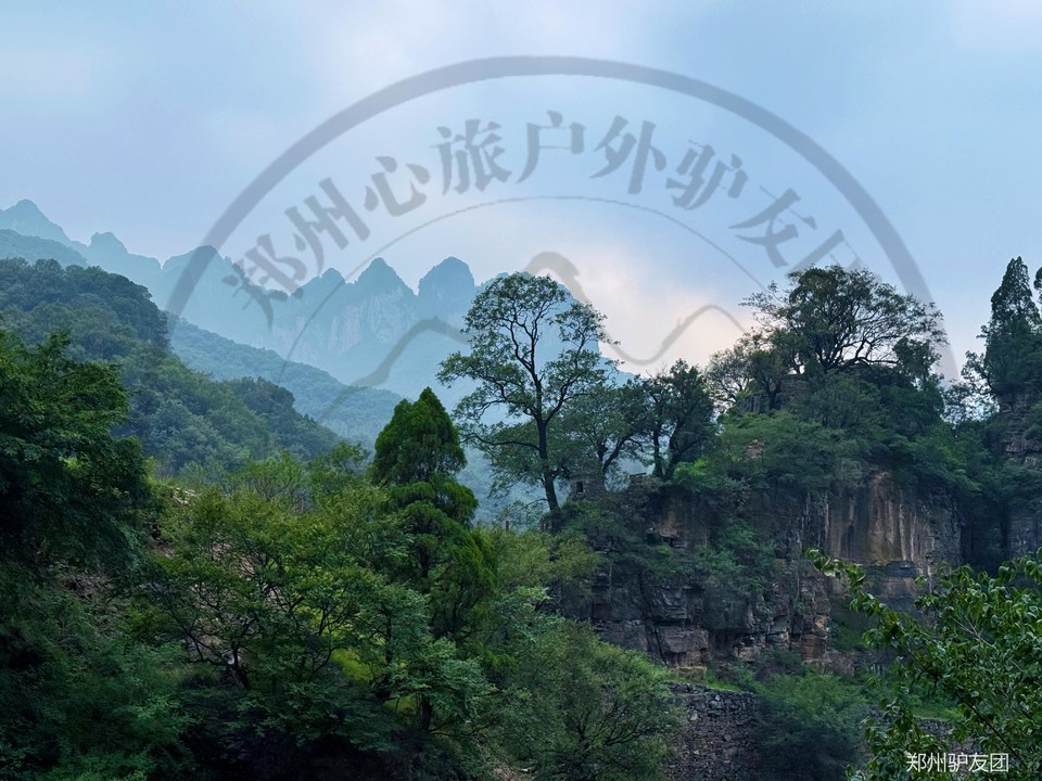 mmexport1753067759746_batch_0_1753157654590