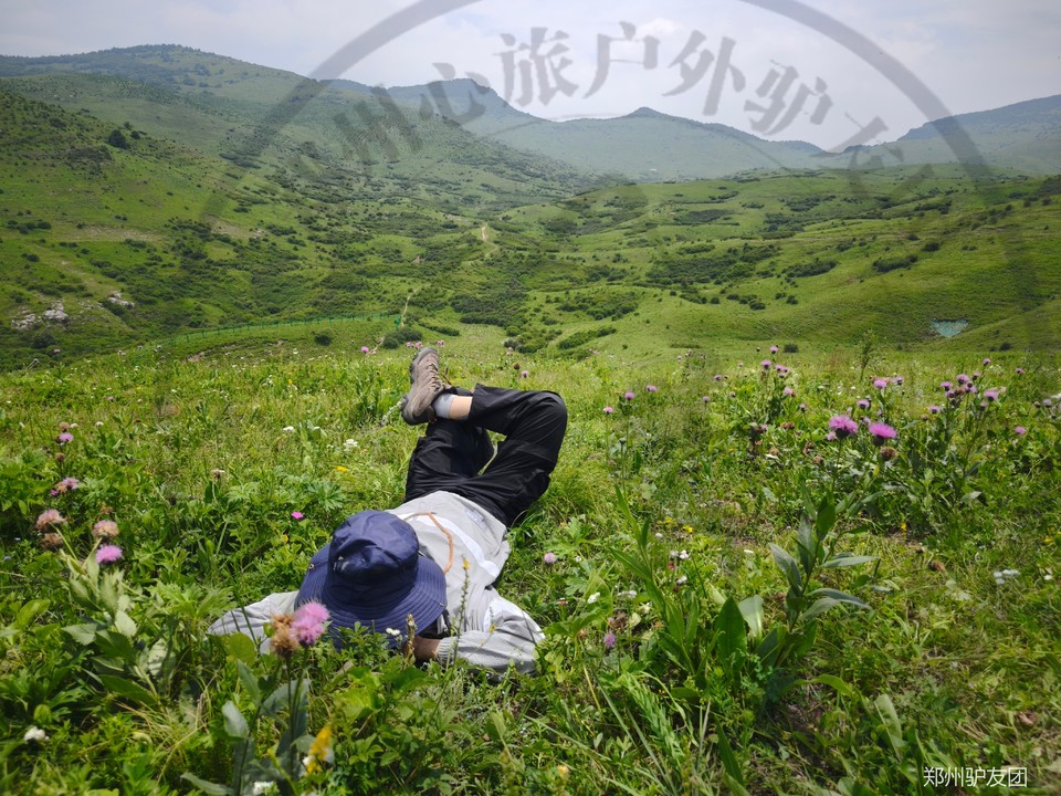 mmexport1753070059762_batch_2_1753157595797