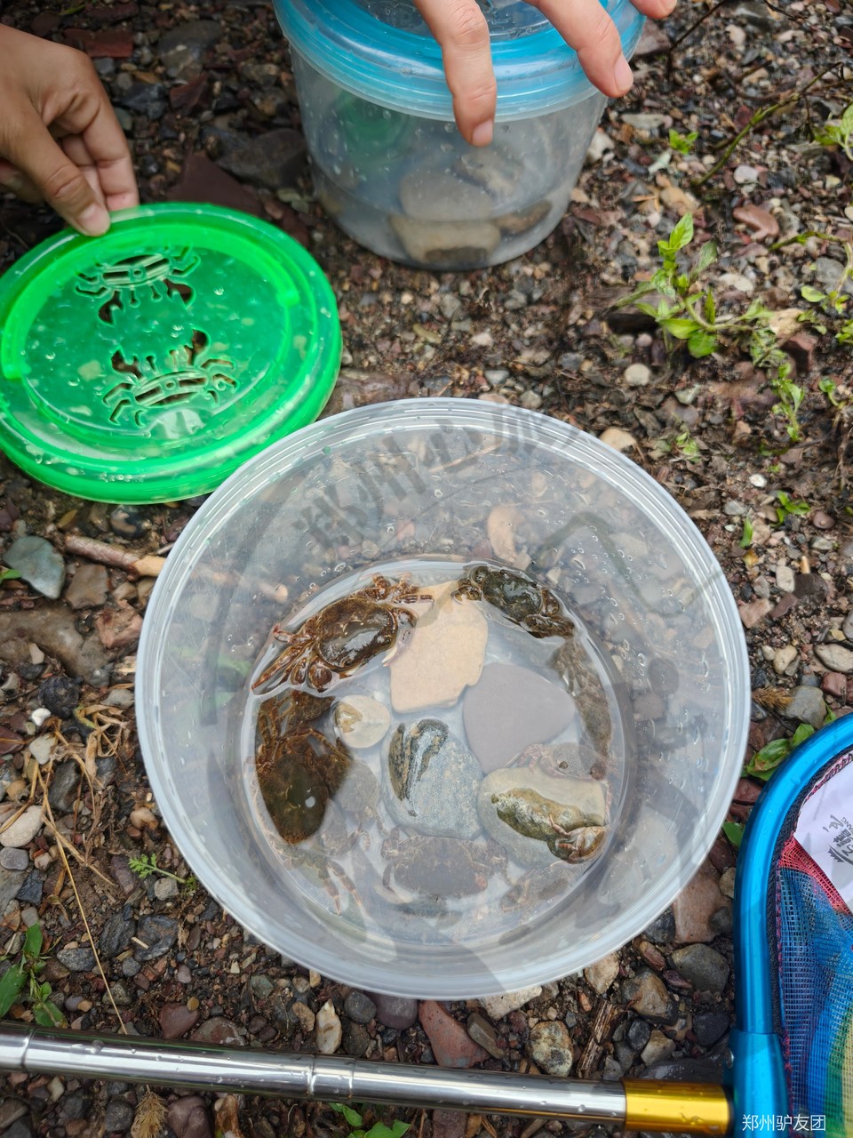 mmexport1753150462829_batch_9_1753157468794