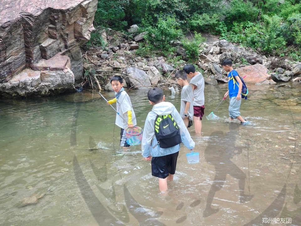 mmexport1753150484453_batch_8_1753157468252