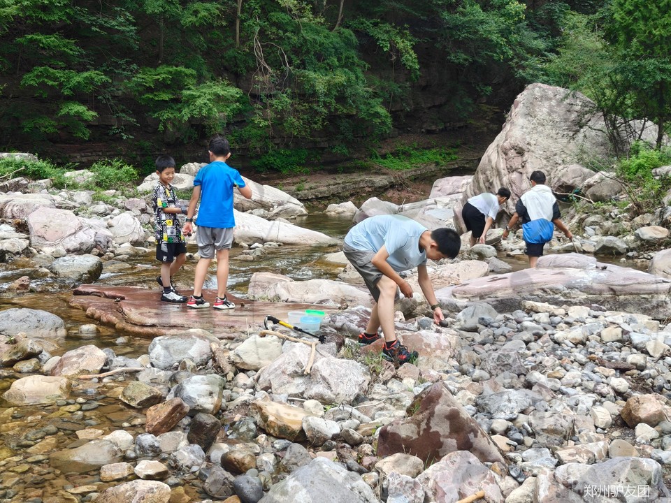 mmexport1753150761356_batch_6_1753157467237