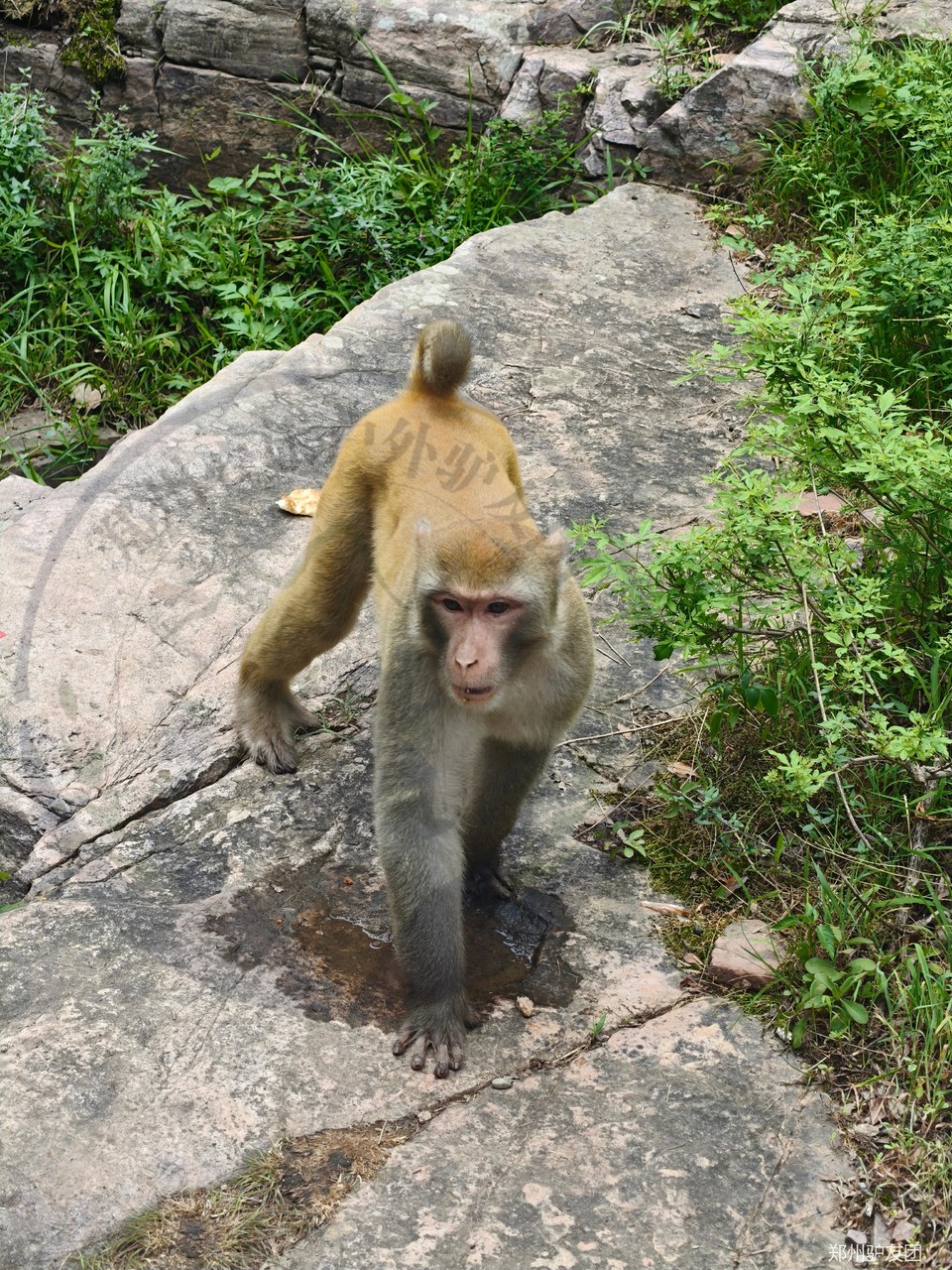 mmexport1753151493407_batch_10_1753157404393