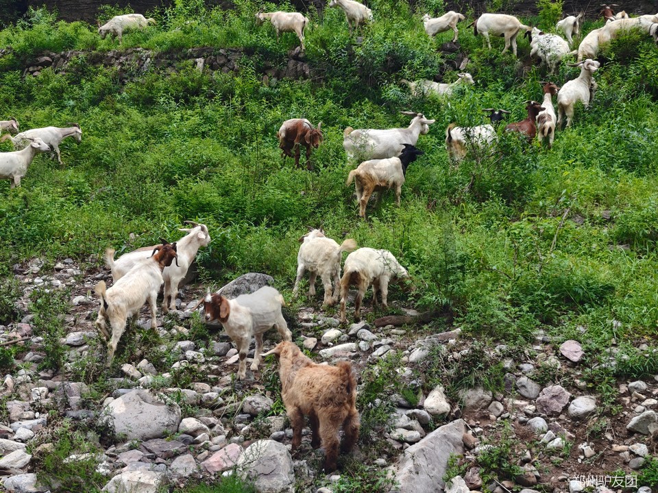 mmexport1753151654091_batch_8_1753157403541