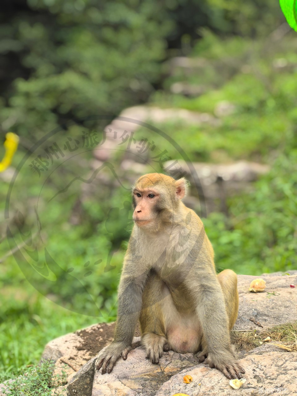 mmexport1753151725130_batch_6_1753157402446