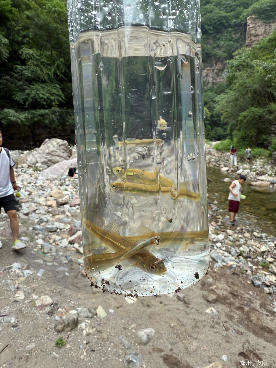 mmexport1753151763420_batch_5_1753157401997